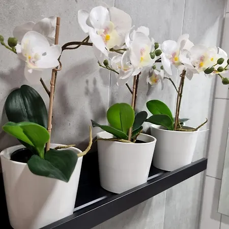 B40 Apartrooms 부다페스트