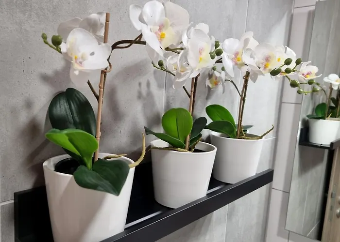 B40 Apartrooms Budapešť